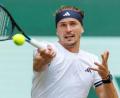 Bild: Friso Gentsch/dpa
Alexander Zverev zeigte im Achtelfinale des Rasenturniers in Halle einen guten Auftritt.