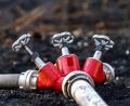 Bild: Frank Hammerschmidt/dpa
Rund 350 Kräfte der Feuerwehr löschten den Waldbrand. (Symbolbild)