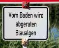 Bild: Julian Stratenschulte/dpa
Die bayerischen Gesundheitsämter warnen an mehrere Badeseen vor Blaualgen. (Symbolbild)