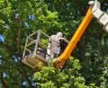 Bild: Rudolf Scharf Bauhof Nabburg
Bizarr mutet dieses Bild an. Die Schutzmaßnahmen sind nötig, um Gespinste und Raupen des Eichenprozessionsspinners, wie hier in Nabburg, wirksam zu entfernen.