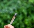 Bild: Jens Kalaene/dpa
Seit rund zwei Jahren ist Cannabis in Deutschland teilweise legal.