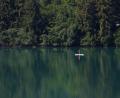 Bild: Karl-Josef Hildenbrand/dpa
Eine Frau paddelt auf einem Stand-up-Paddle-Board über den Forggensee.