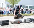 Bild: Hauptzollamt Regensburg
Ein Drogenspürhund im Einsatz bei der Zollhundevorführung.