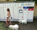 Bild: Wolf von Dewitz/dpa
Gassigehen am Paketautomaten vorbei: Alltagsszene aus Düsseldorf.