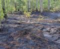 Bild: Masching
In einem Waldstück beim Dießfurter Weiher hat es am Mittwochmorgen gebrannt. Dem schnellen Eingreifen der Einsatzkräfte war es zu verdanken, dass sich das Feuer nicht noch weiter ausgebreitet hat.
