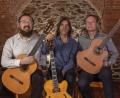 Bild: Georg Mühlbauer
Trio Puente verbindet verschiedene Musikstile in einem Konzert.