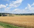 Bild: Richard Braun
Südöstlich von Dietstätt (Gemarkung Weiding) will die Hauser Energie GmbH & Co. KG eine Agri-PV-Anlage errichten.. Das Bauleitvefahren steht kurz vor dem Abschluss.