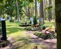 Bild: Gabi Schönberger
Die Reihen bei den Erdgräbern lichten sich auf dem Stadtfriedhof und Waldfriedhof (Foto) in Weiden. Im Jahr 2025 waren 75 Prozent aller Bestattungen bereits Urnenbeisetzungen.