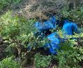 Bild: PI Burglengenfeld
Die Polizei hat hochwertiges Diebesgut in einem Wald gefunden.