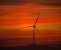 Bild: Peter Kneffel/dpa
Bayerns Regierung fordert mehr Windräder in Süddeutschland. (Archivbild)