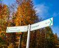 Archivbild: Luca Melzner
Wohin führt der Weg in Sachen Windkraft im Hessenreuther Wald?