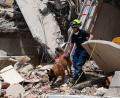 Bild: Javier Campos/dpa
Auch an Tag fünf nach den Erdbeben in Venezuela geht die Suche nach Verschütteten weiter.