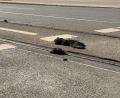 Bild: Irena Güttel/dpa
In der Hitze ist Bitumen weich geworden und klebt wie zähes Kaugummi an Schienen und Rädern der Straßenbahnen (Archivbild)