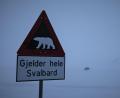 Bild: Steffen Trumpf/dpa
Ein Schild warnt auf Spitzbergen vor Eisbären. (Symbolbild)