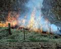 Archivbild: Jürgen Masching
Ein Waldbrand kann schnell dazu führen, dass überörtliche Hilfe erforderlich ist. Dafür gibt es im Landkreis Feuerwehren, die Sonderfahrzeuge für den landkreisweiten Einsatz haben. Zum Beispiel die Feuerwehr Auerbach, deren 35 Jahre altes Tanklöschfahrzeug jetzt durch ein TLF 3000 ersetzt werden muss.