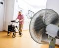 Bild: Christoph Reichwein/dpa
Die sogenannte hitzebedingte Mortalität betrifft vor allem ältere Menschen (Archivbild).