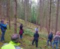 Bild: Hladik
Hier können neben jungen Buchen, Ebereschen oder Eichen auch junge Tannen ("Die Praline im Wald") überleben. Neben der gezielten Verjüngung der Fläche haben die Jäger auch den Beschuss des Rehwilds angepasst.