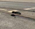 Bild: Irena Güttel/dpa
Wann alle Straßenbahnen wieder fahren, ist weiterhin unklar. (Archivbild)
