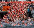 Bild: Stefan Sauer/dpa
Mit Schwung ins kühle Nass - die Teilnehmer starten zum Internationalen Sundschwimmen im Hafen von Parow bei Stralsund.