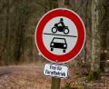 Bild: Nicolas Armer/dpa
Um ins Tal zu gelangen, nutzt der Mann eine Forststraße. (Symbolbild)