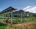 Bild: Daniel Karmann/dpa
Die Agri-PV-Anlage soll zeigen, wie Kirschbäume gedeihen und gleichzeitig Strom produziert werden kann.