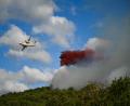 Bild: Lionel Bonaventure/AFP/dpa
Wegen der Waldbrände sollen Zuschauer nicht zur Tour-Etappe kommen (Archivbild).