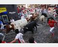 Bild: Miguel Oses/AP/dpa
Die Stierhatzen im nordspanischen Pamplona sind schnell und gefährlich. Beim ersten von acht Läufen gab es zum Glück nur Leichtverletzte. Die Bullen aber sterben am späten Nachmittag in der Stierkampfarena.