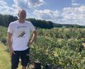 Bild: Stefanie Swann
In Mülles bei Hahnbach bei Christian Wiesneth gibt es etwas nicht ganz so Typisches: Heidelbeeren zum Selberpflücken.