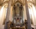 Bild: Lennart Preiss/dpa
Im Eichstätter Dom wurde die Neuigkeit verkündet. (Archivbild)