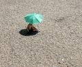 Bild: Peter Kneffel/dpa
In Deutschland wird es am Wochenende bis zu 36 Grad warm.