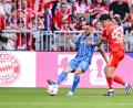 Bild: Harry Langer/dpa
Hier noch Rivalen, bald wieder Teamkollegen bei den Bayern: Ibrahimovic (links) und Pavlovic (rechts). (Archivbild)