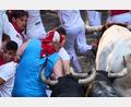 Bild: Miguel Oses/AP/dpa
Auf Tuchfühlung mit dem Tod: Die spitzen und langen Hörner der Kampfstiere können den Läufern bei den Stierhatzen während des ebenso berühmten wie umstrittenen San-Fermín-Festes im nordspanischen Pamplona lebensgefährliche Verletzungen zufügen.