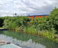 Bild: Hans Prem
Die Idylle im Garten ihres Anwesens im Lindenweg ist durch die unmittelbar angrenzenden Container des Baulagers für den Süd-Ost-Link getrübt. Eine Anwohnerin fühlt sich durch den Partylärm und die Nähe der Container, die auch Sicht auf ihr Grundstück bieten, gestört und beschwerte sich deshalb bei der Gemeinde.