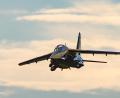 Bild: A. Maier
Vom großen Vorbild kaum zu unterscheiden: das Alphajet-Modell wird am Amberger Flugplatz Kunstflug vorführen.