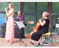 Bild: Helmut Kunz
Die Sopranistin Laura Demjan, Cellistin Ute Sommer und Pianist Albert Sommer bilden das "Trio America Songbook".