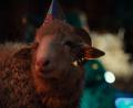 Bild: Patrick Wally/ZDF/dpa
Die Schafe in der Serie „Sheep“ sehen sich selbst als die Krone der Schöpfung und gehen fest davon aus, die Menschen domestiziert zu haben.