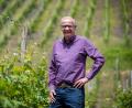 Bild: Harald Tittel/dpa
Zwischen den Riesling-Reben: Abseits des Fernsehstudios ist Günther Jauch gerne auf seinem Weingut an der Saar. (Archivbild)
