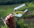 Bild: Harald Tittel/dpa
Trockene Weine liegen weiter im Trend. (Symbolbild)