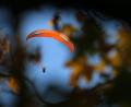 Bild: Karl-Josef Hildenbrand/dpa
Gleitschirmflieger legt Langsteckenflug hin. (Archivbild)