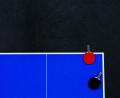 Bild: Tom Weller/dpa
Russische Spieler dürften wieder unter ihrer Flagge an internationalen Tischtennis-Wettbewerben teilnehmen. (Symbolbild)