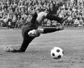 Bild: picture alliance / dpa
Der frühere Bundesliga-Torhüter Manfred Manglitz ist in Spanien gestorben. (Archivbild)