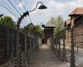 Bild: Rolf Vennenbernd/dpa
Für die Gedenkstätten zur Aufarbeitung des Nazi-Terrors ist es wichtig, dass sie ohne politische Vorgaben forschen und aufklären können. (Archivbild)