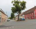 Bild: Josef Pilfusek
Der Stadtrat Pleystein möchte den Ausbau erneuerbarer Energien auf den Weg bringen.