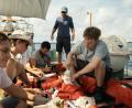 Bild: Reiner Bajo/Netflix/dpa
Der Film „23 000“ Leben erzählt von jungen Leuten, die eine Mission zur Rettung von Geflüchteten im Mittelmeer starten, mit Louis Hofmann (r) in einer Hauptrolle.