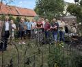Bild: Stefanie Gradl
Ein bezaubernder Hinterhofgarten erwartet die Besucher bei Ingrid Schmer in der Breiten Gasse.