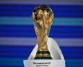 Bild: Christian Charisius/dpa
Für den Weltmeister gibt es nicht nur den Pokal. (Archivbild)