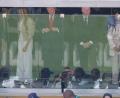 Bild: Matt Slocum/AP/dpa
US-Präsident Donald Trump war hinter Glas bei ersten TV-Einblendungen kaum zu erkennen.