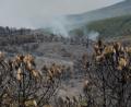 Bild: Mateo Lanzuela/EUROPA PRESS/dpa
Das Feuer in der Region von Guadalajara nordöstlich von Madrid hat bereits 13.000 Hektar Wald- und Buschland vernichtet.