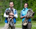 Bild: Sven Hoppe/dpa
Alljährlich werden im Nationalpark Berchtesgaden zwei junge Bartgeier ausgewildert. (Archiv)