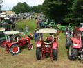 Bild: Josef Rosner
Ein Bulldogtreffen wie aus dem Bilderbuch gab es am Sonntag in Kaltenmühle: 210 Bulldogs aller Altersklassen konnten bestaunt werden.